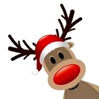 rudolf-het-rendier-met-de-rode-neus-cat-200x200-c-default