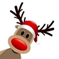 rudolf-het-rendier-met-de-rode-neus-cat-200x200-c-default