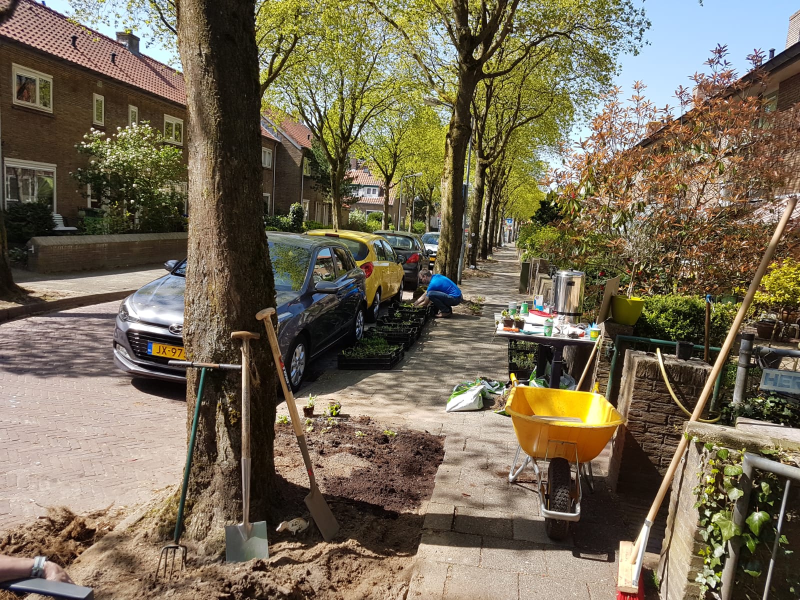 boomspiegels 2018 2