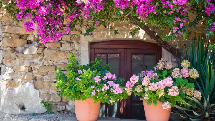 MEditerrane-tuin